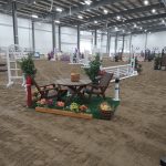 IMG_20231123_104926